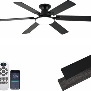 Ceiling Fans with Lights,54 Inch Low Profile Ceiling Fan with Light and Remote Control,6 Speeds/6 Blade,Flush Mount,LED Dimmable DC Reversible Modern, Black Ceiling Fan for Bedroom/Living Room Ceiling Fans with Lights,54 Inch Low Profile Ceiling Fan with Light and Remote Control,6 Speeds/6 Blade,Flush Mount,LED Dimmable DC Reversible Modern, Black Ceiling Fan for Bedroom/Living Room