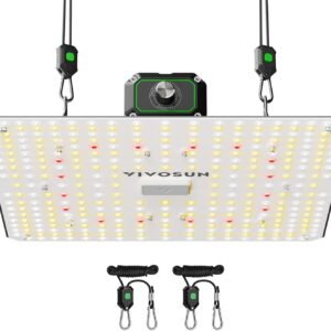 VIVOSUN AeroWave A6 Grow Tent Clip Fan, 6″ Auto Oscillating Fan, Secure Non-Slip Clamp, Strong Air Circulating, and Low Noise, for Hydroponic Ventilation, 1-Pack VIVOSUN AeroWave A6 Grow Tent Clip Fan, 6″ Auto Oscillating Fan, Secure Non-Slip Clamp, Strong Air Circulating, and Low Noise, for Hydroponic Ventilation, 1-Pack