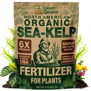 Organic Sea Kelp Fertilizer for Plants – Water-Soluble – Makes 50 Gallons – Kelp Meal Concentrate Plant Food – for Indoor Gardens, Hydroponics, Vegetables, Houseplants – Smart Grower – 2oz Bag Organic Sea Kelp Fertilizer for Plants – Water-Soluble – Makes 50 Gallons – Kelp Meal Concentrate Plant Food – for Indoor Gardens, Hydroponics, Vegetables, Houseplants – Smart Grower – 2oz Bag
