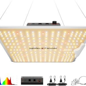 Spider Farmer SF1000 100W LED Grow Light for Indoor Plants, Upgraded High Efficiency LEDs, Dimmable Full Spectrum High PPFD, Deep Penetration for Seed Starting/Vegetables/Bloom in 2×2/3×3 Grow Tent Spider Farmer SF1000 100W LED Grow Light for Indoor Plants, Upgraded High Efficiency LEDs, Dimmable Full Spectrum High PPFD, Deep Penetration for Seed Starting/Vegetables/Bloom in 2×2/3×3 Grow Tent