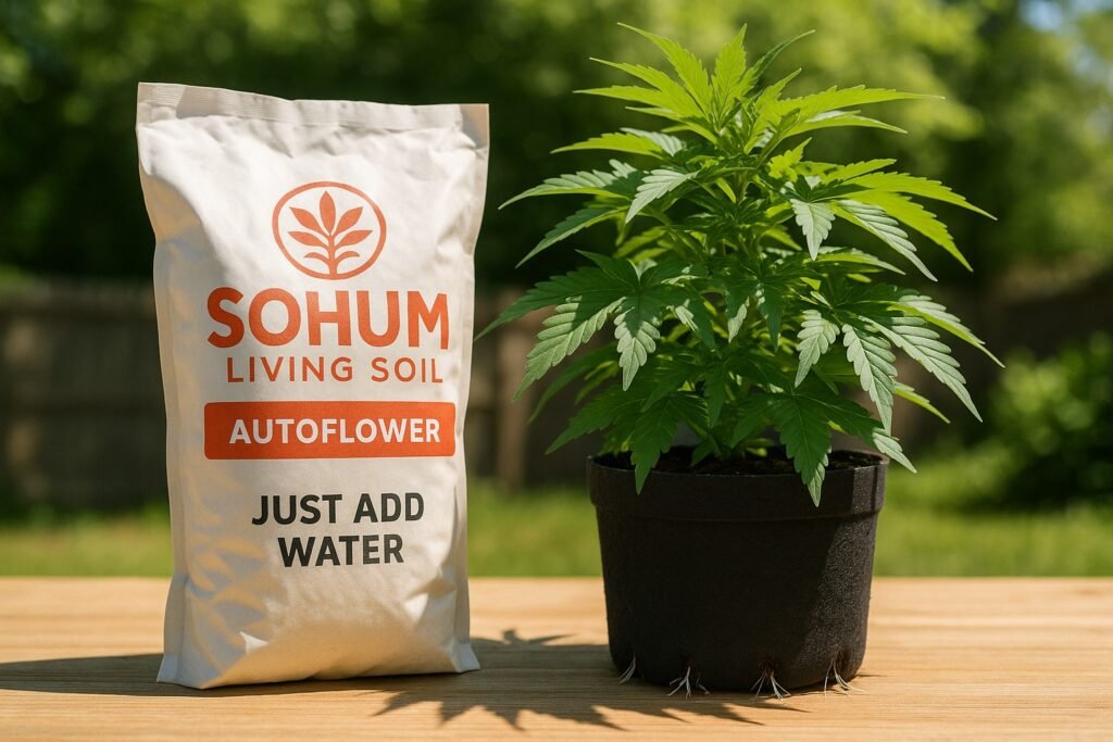 Sohum Living Soil in container next to thriving autoflower cannabis