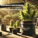 Growing Weed in 5-Gallon Pots Outside: What You Need to Know