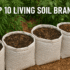 What Is Live Soil? A Complete Guide to Living Soil for Organic Gardening